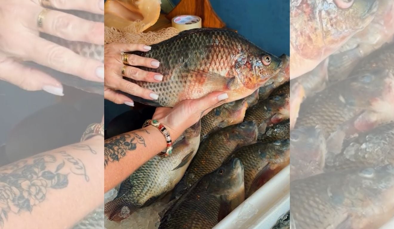 Tilapia-Semana-Santa.jpg